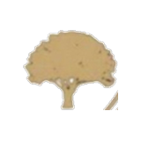 The tree from the school crest